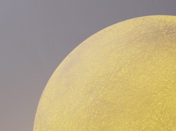 9186716_5