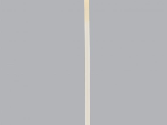 9030618_8