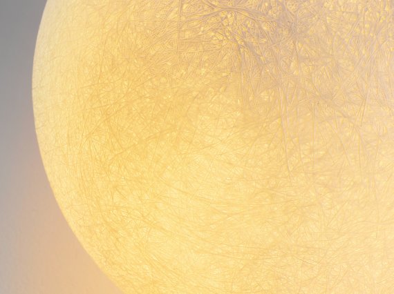 9186717_6