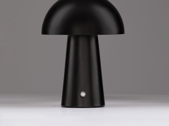 9050175_3